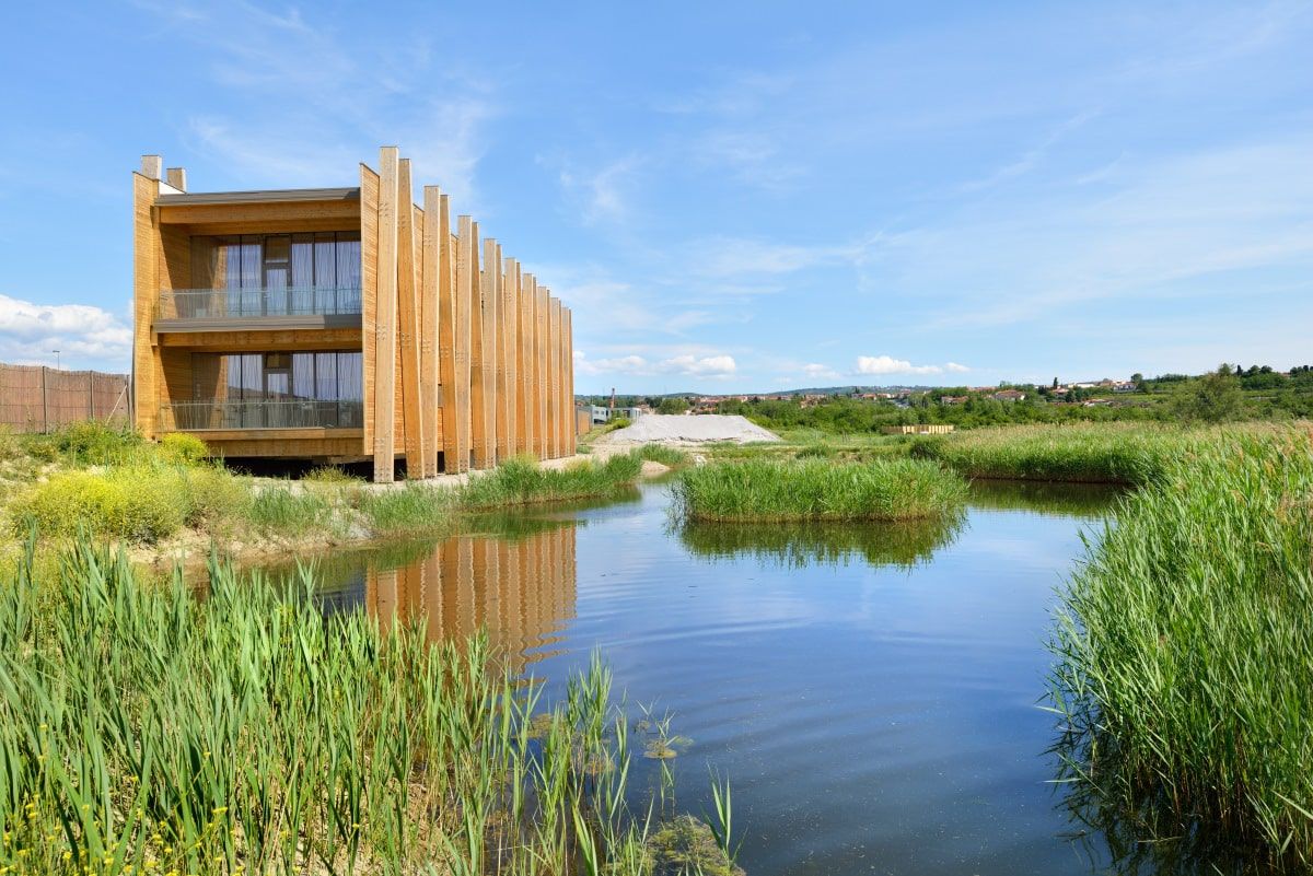 Naravni rezervat Škocjanski zatok